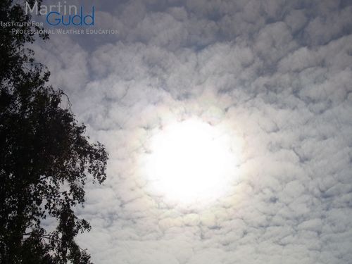 Die Aureole ist der innerste Bereich einer Korona (hier in flachem Altocumulus um die Sonne) / the aureole is the innermost part of a corona (here in thin Altocumulus around the sun)