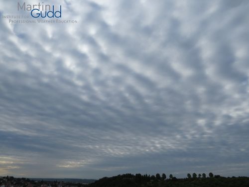 Altocumulus opacus undulatus