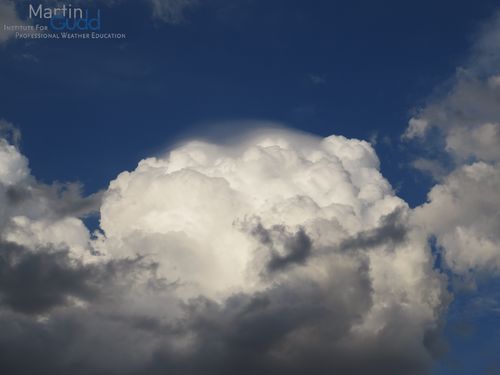 Cumulus congestus pileus