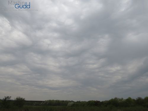 Weiteres Beispiel von Altocumulus asperitas / Another example of Altocumulus asperitas