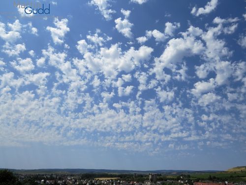 Altocumulus floccus